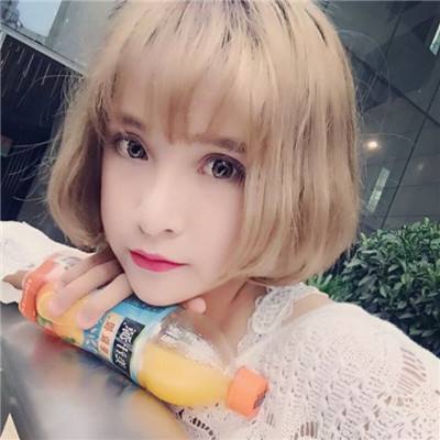 代号sd手游
